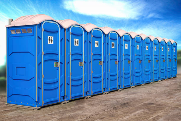 Best Portable Toilets with Baby Changing Stations  in Le Sueur, MN